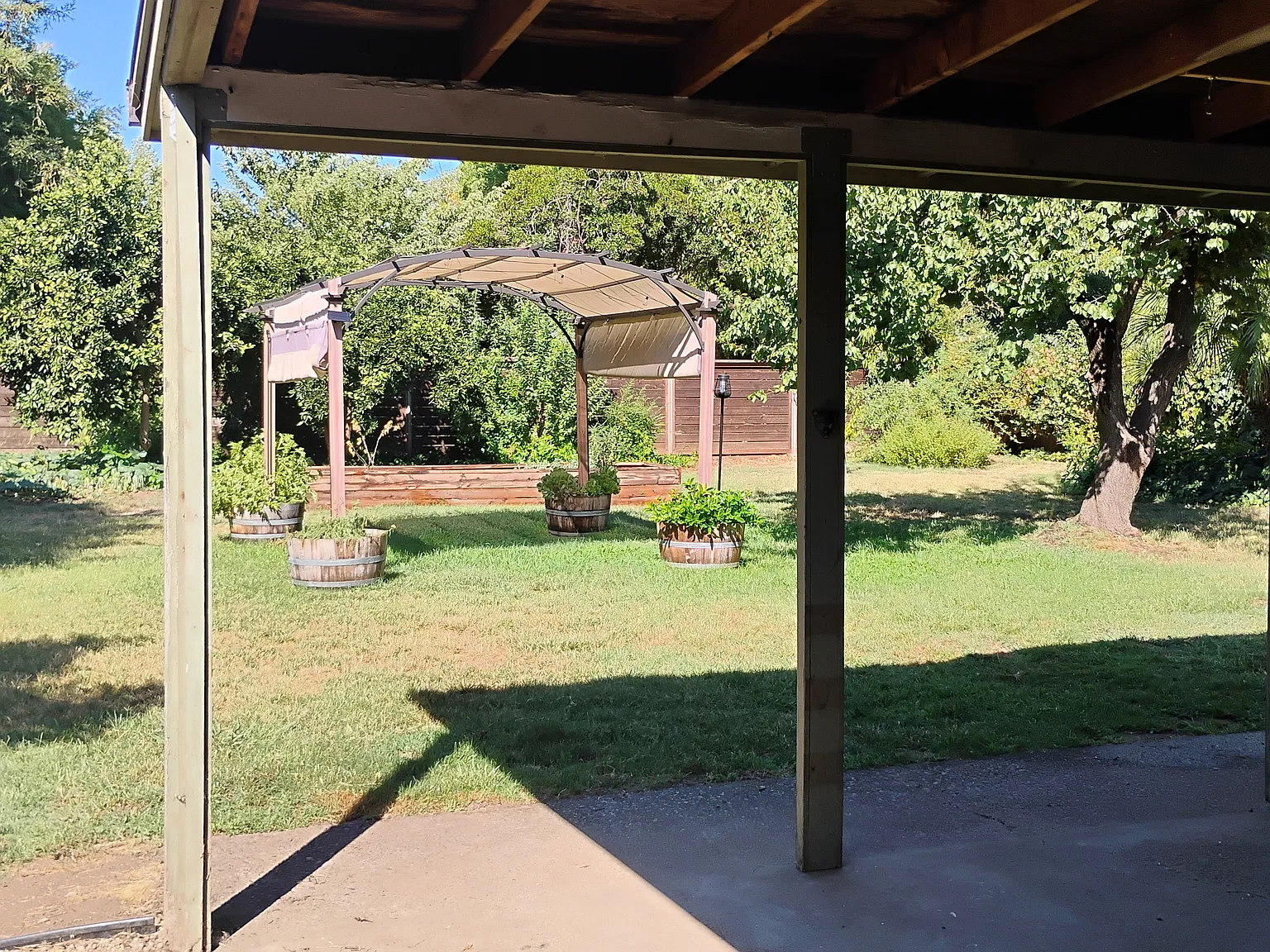 Neal Dow Ave, Chico — Photo 2