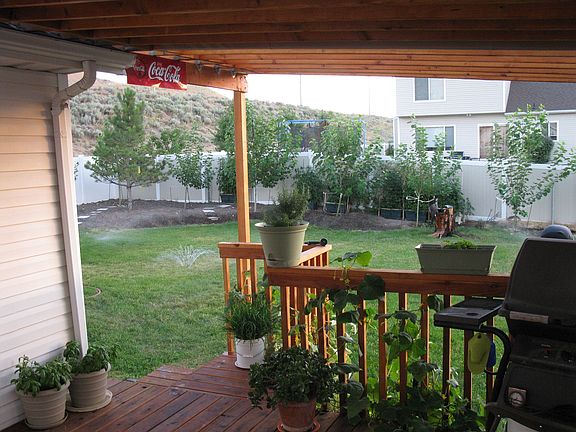 View of the back fence