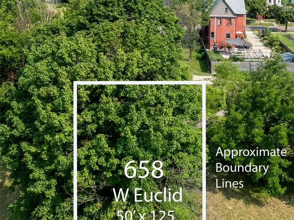 658 W Euclid St, Detroit, MI 48202
