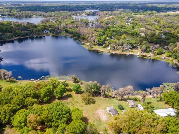16932 Parsonage Lake Ln, Odessa, FL 33556