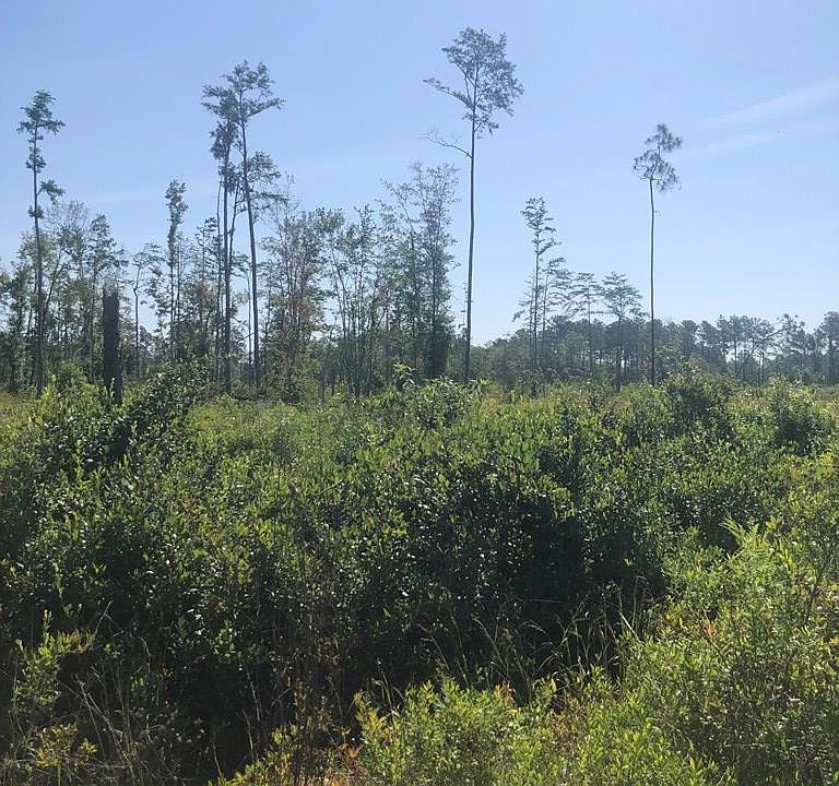 2nd image of 4138 Highway 125 N