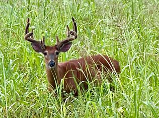0 Haynes Cemetery Rd, Somerset, KY 42501