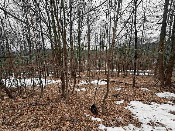 5th image of 194 Mine Road