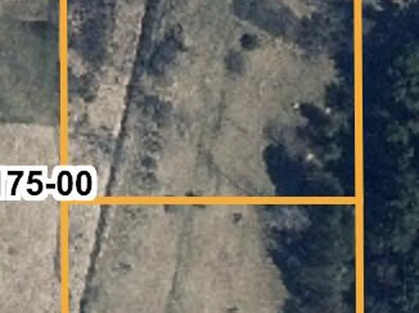 PARCEL W Clarksville Rd #C, Clarksville, MI 48815