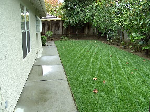 Side Yard