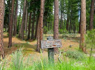 691 Redtail Loop Rd, Clio, CA 96106