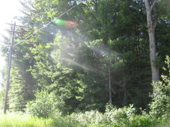 0 Greenwood Rd, Prescott, MI 48756