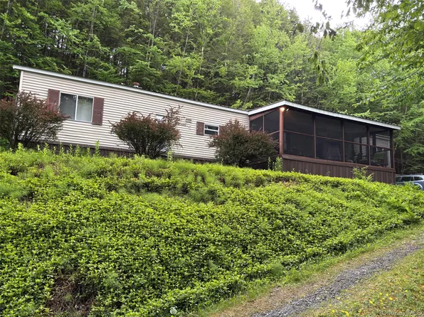 46 Elm Hollow Road, Livingston Manor, NY 12758
