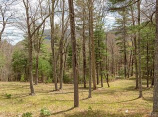 20 Wildcat Ln, Cashiers, NC 28717
