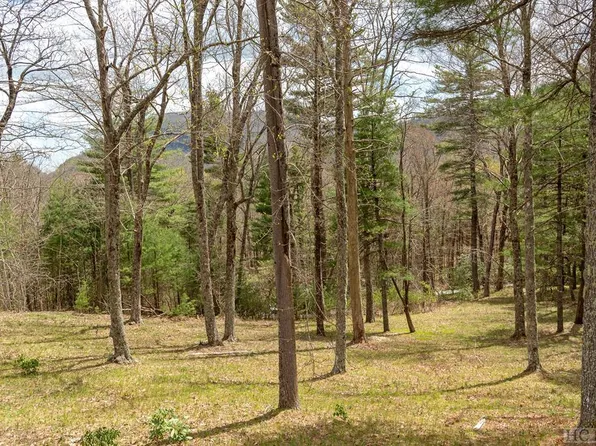 20 Wildcat Ln, Cashiers, NC 28717
