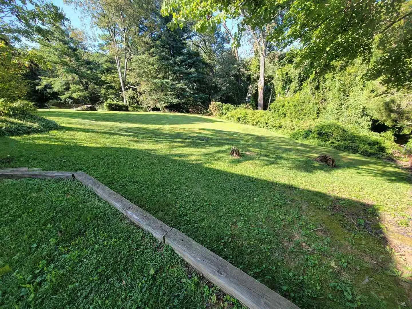 6061 Tammy Dr — Photo 3