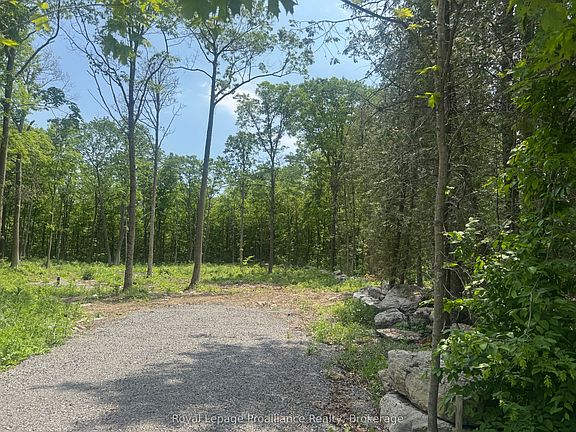 3rd image of 378 Station Rd