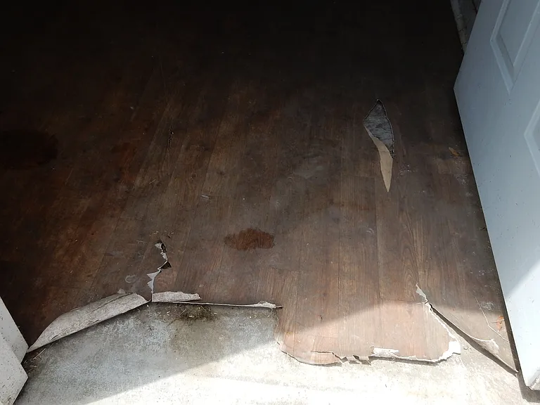 807 Lex St — Photo 71