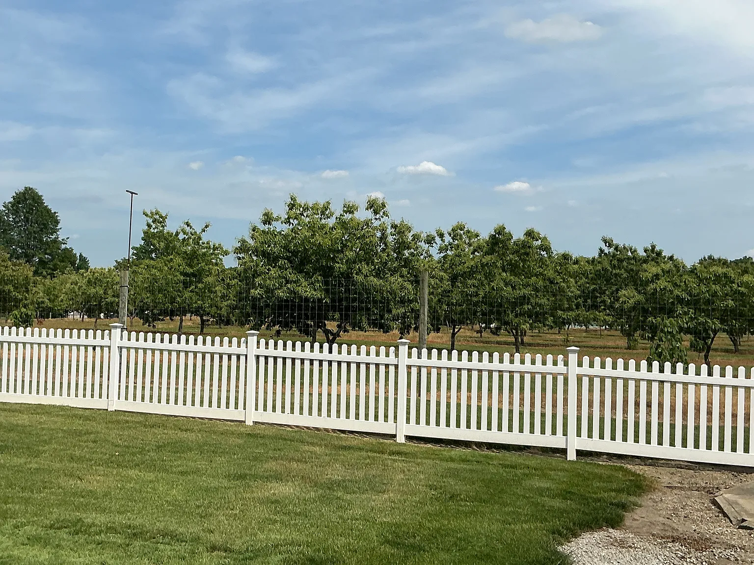 5 bed, 1.5 bath, 2000 sqft, $2,400 — Photo 3