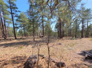 134 S Garland Prairie Rd, Parks, AZ 86018