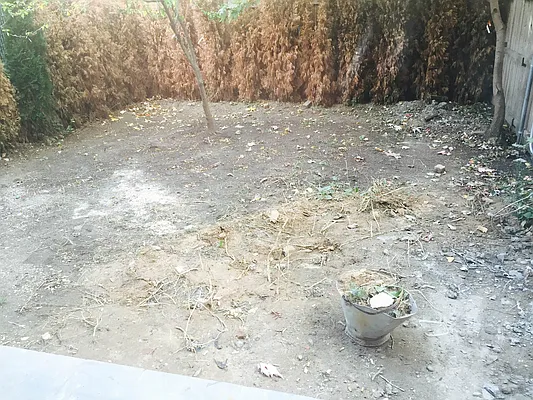 Rented by Elite NY Holdings | media 66