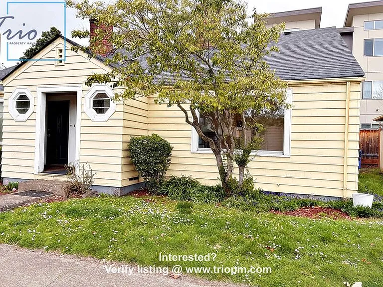 1869 Hilyard St — Photo 10