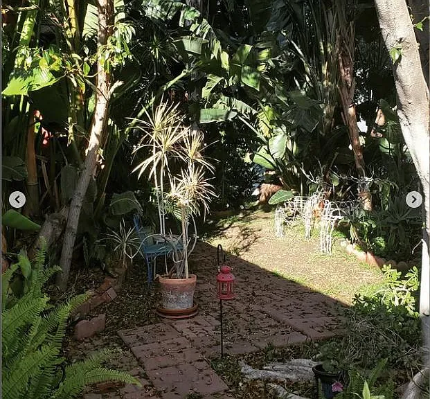 Daisy Ave — Photo 11