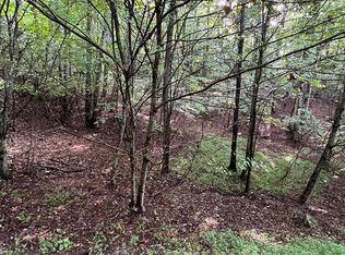 LOT-45AC Ash Branch Cir, Hayesville, NC 28904
