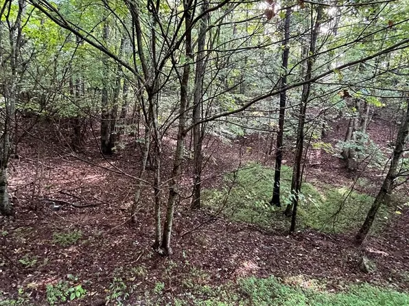 LOT-45AC Ash Branch Cir, Hayesville, NC 28904