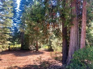 261 Alpine Fir Rd #CW, Westwood, CA 96137