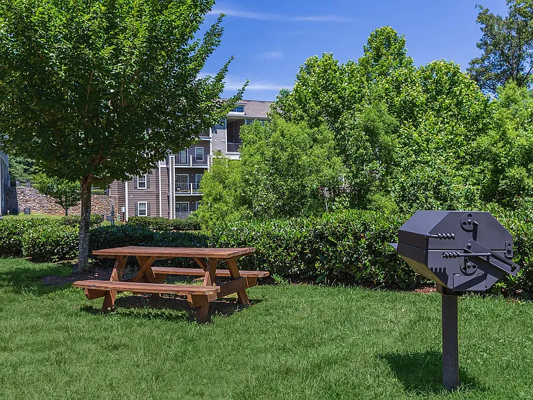 Picnic Area_07222026