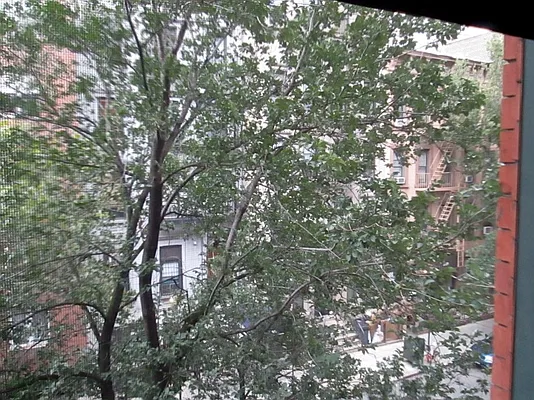 Rented by Prince Real Estate Associates LLC | media 37