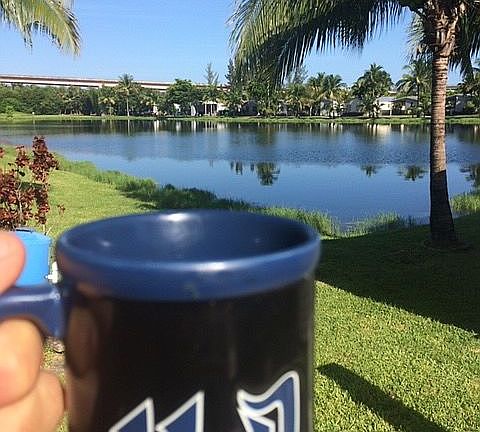 Morning back yard view