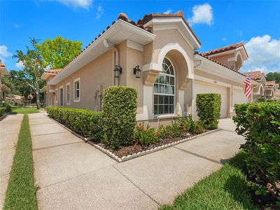 3876 Timber Ridge Ct, Palm Harbor, FL, 34685