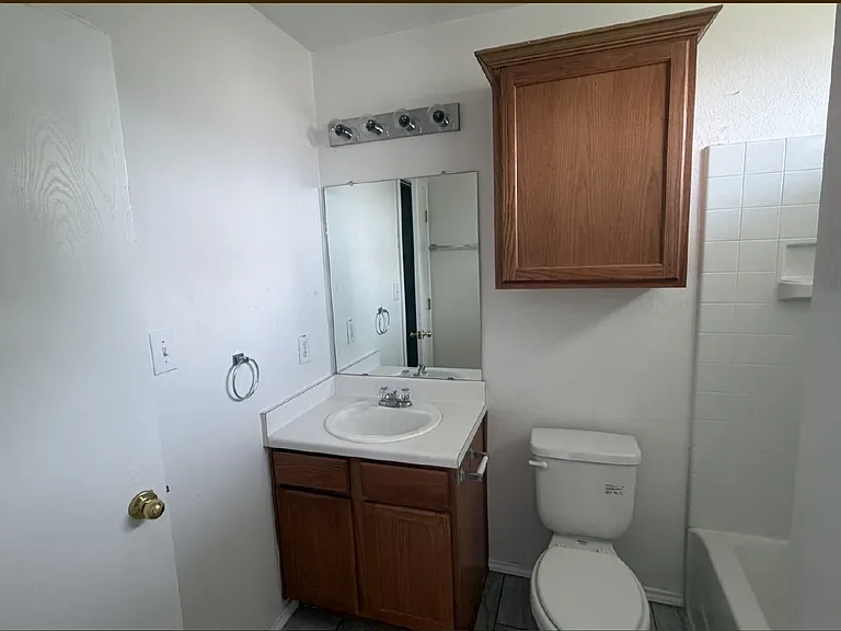 8411 Crinum Lily Dr — Photo 11