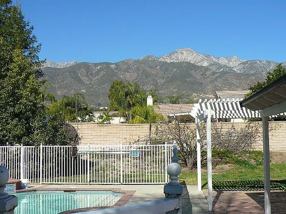 Backyard View