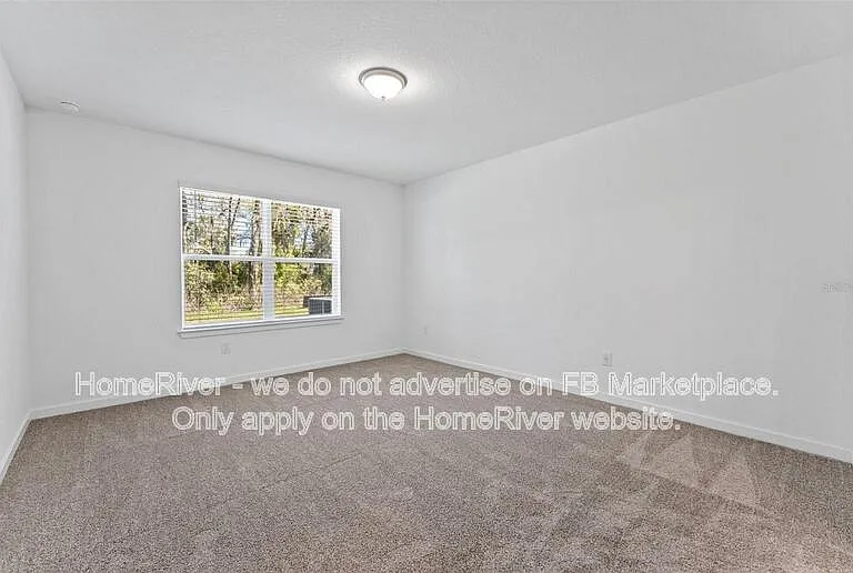 10826 Sapphire Breeze Cv — Photo 11