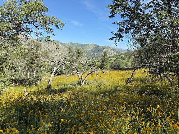 4th image of Sierra Drive