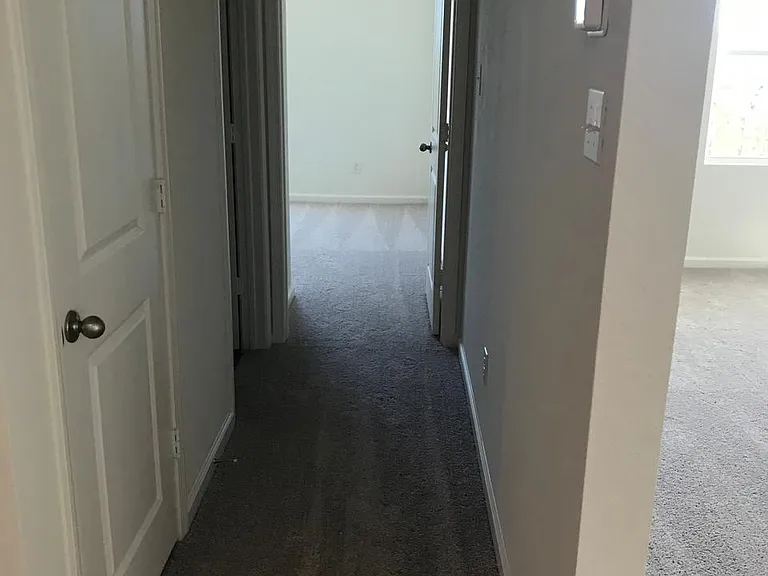 203 Bradford Dr — Photo 20