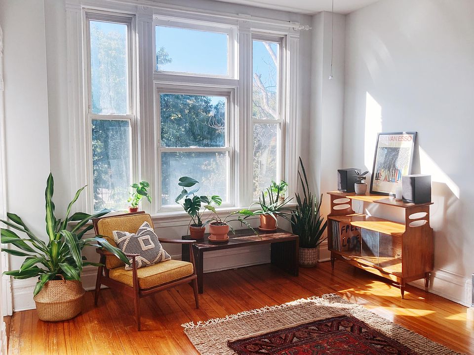 Living room. South facing large front windows - perfect for plants!