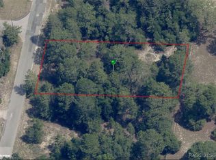 1475 S Alto Verde Ter, Inverness, FL 34452