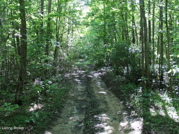 1 Ditney Hill Rd, Drakesboro, KY 42337