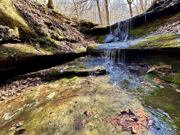 3555 Sulphur Springs Branch Rd, Columbia, TN 38401