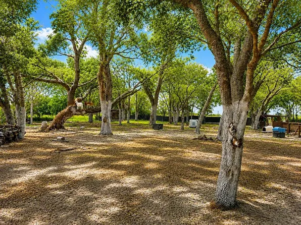 MAMMOTH GROVE ROAD LOT 1, LAKE WALES, FL 33898