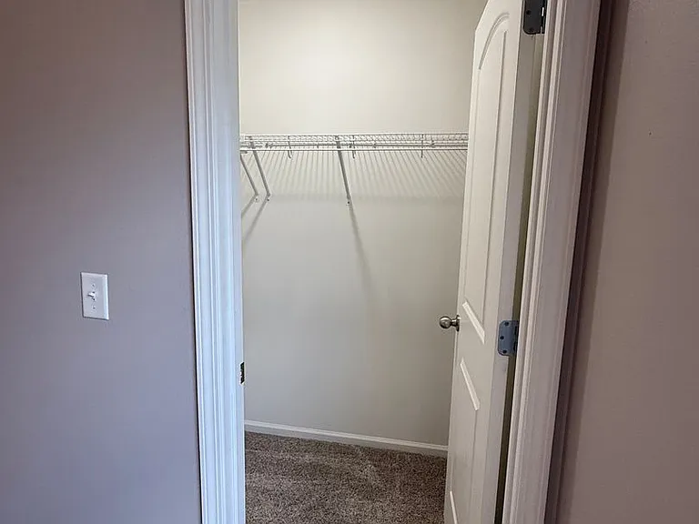 185 Bald Cypress Ct — Photo 16
