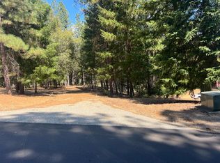4415 Santa Croce Ct, Foresthill, CA 95631