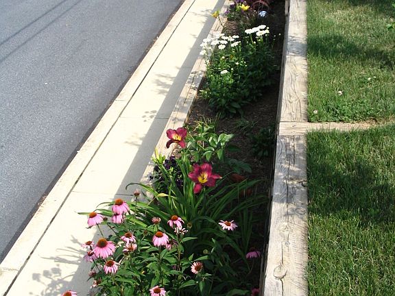 Beautiful Garden