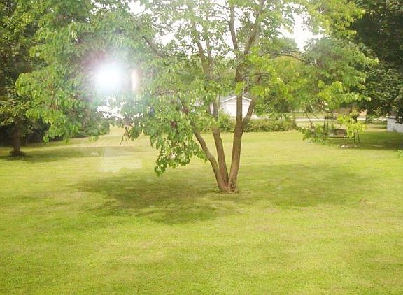Very big back yard.