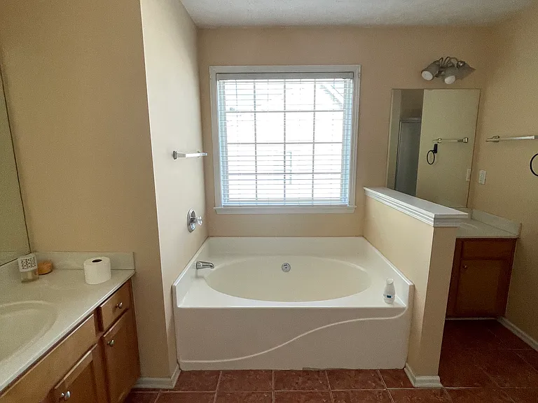 Master room bath tub