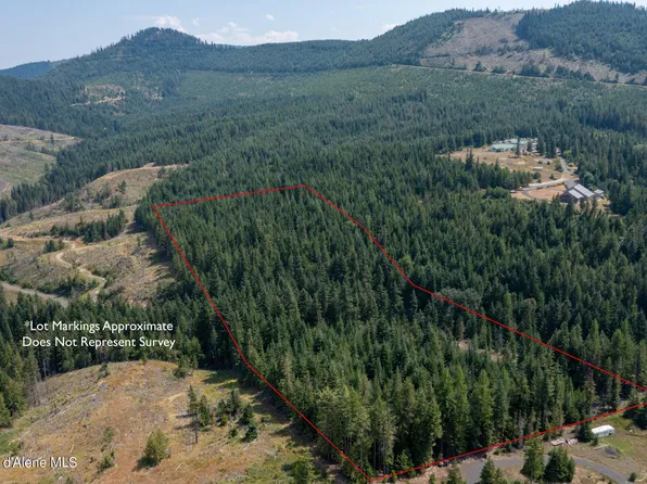 Nka Pettis Peak Rd, Saint Maries, ID 83861