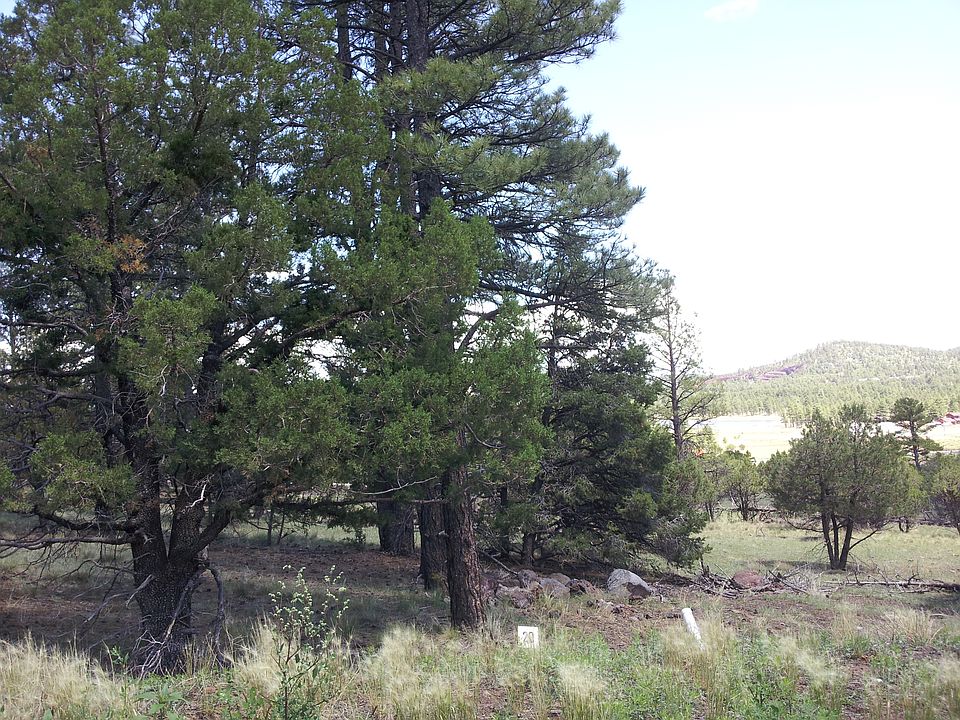 Lake view from lot #20.