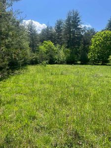 15128 Highland Tpke, Head Waters, VA, 24442