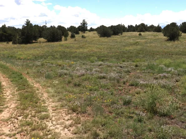 Tbd Q Path, Cotopaxi, CO 81223