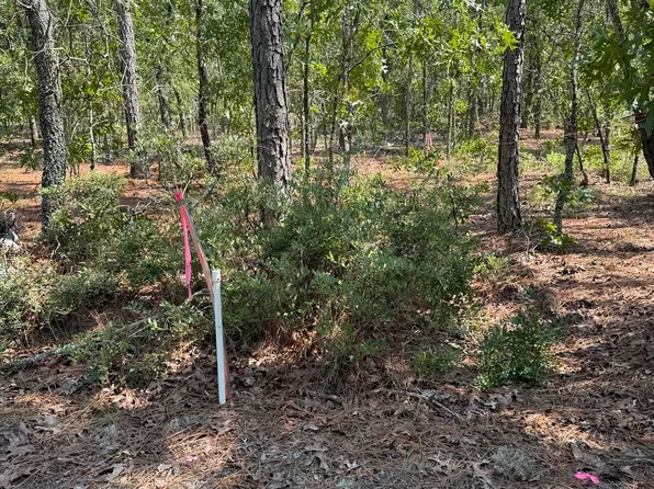 0 Highway 46, Twin City, GA 30471