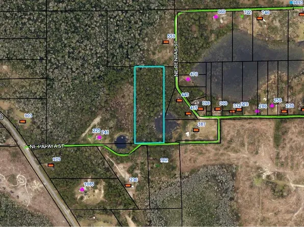 NE Papaya St, Madison, FL 32340